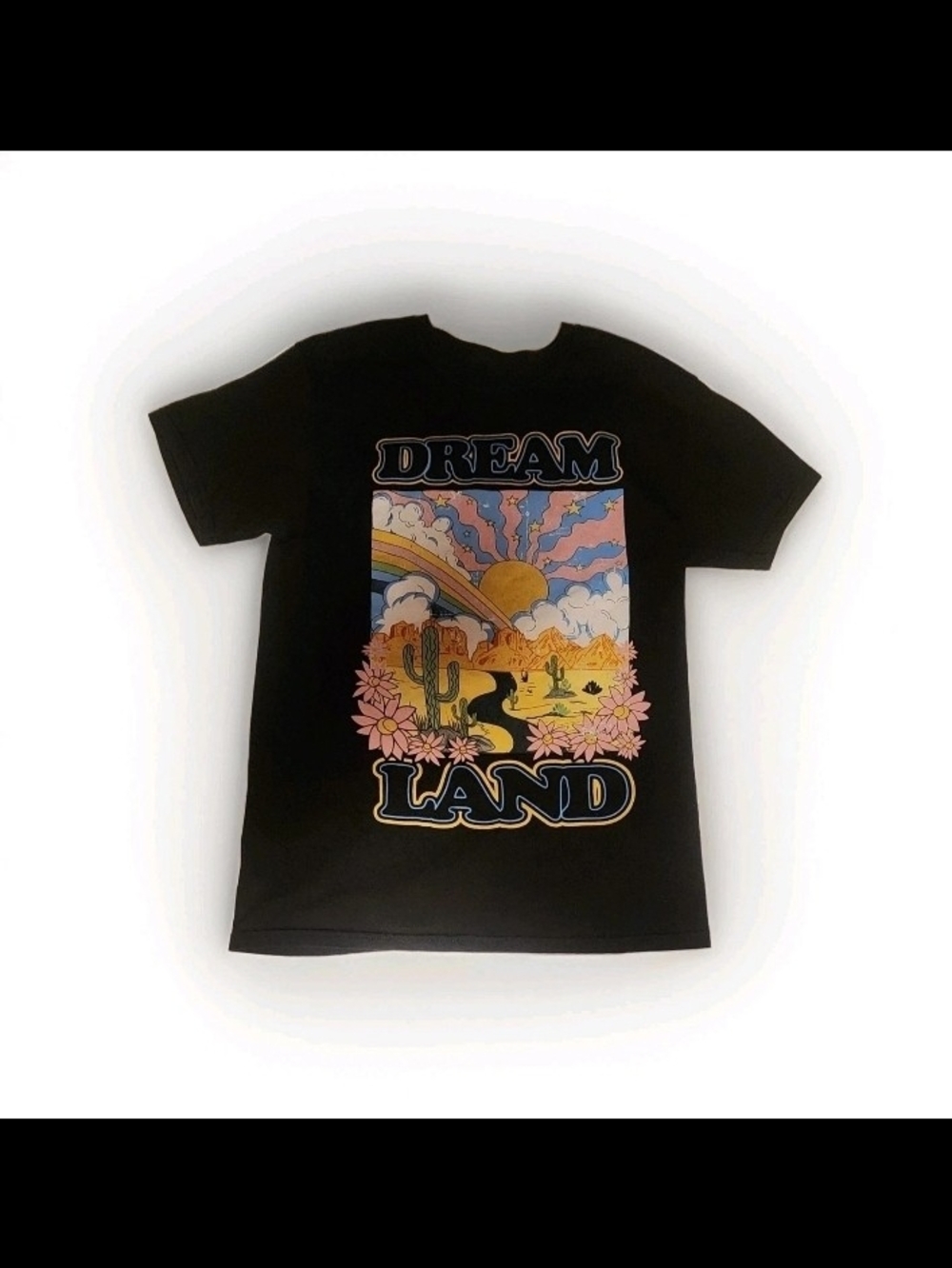 Dream Land Desert Cactus Rainbow Fruit of the Loom Graphic T-Shirt Small